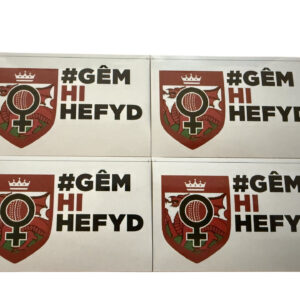X50 HERGAMETOO CRICKET CYMRU VINYL STICKERS