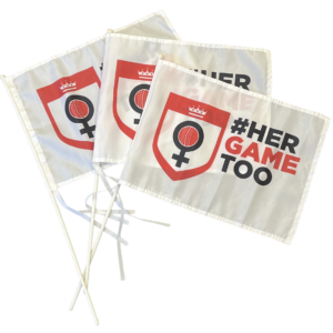 HERGAMETOO CRICKET HAND FLAG PACK OF 10