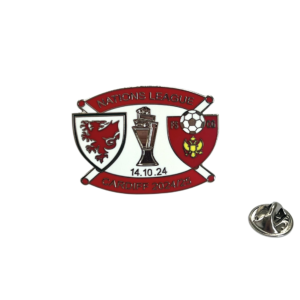 WALES v MONTENEGRO BADGE