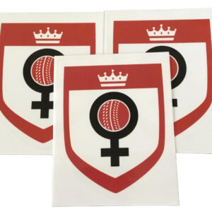 X50 HERGAMETOO CRICKET TRANSPARENT STICKERS